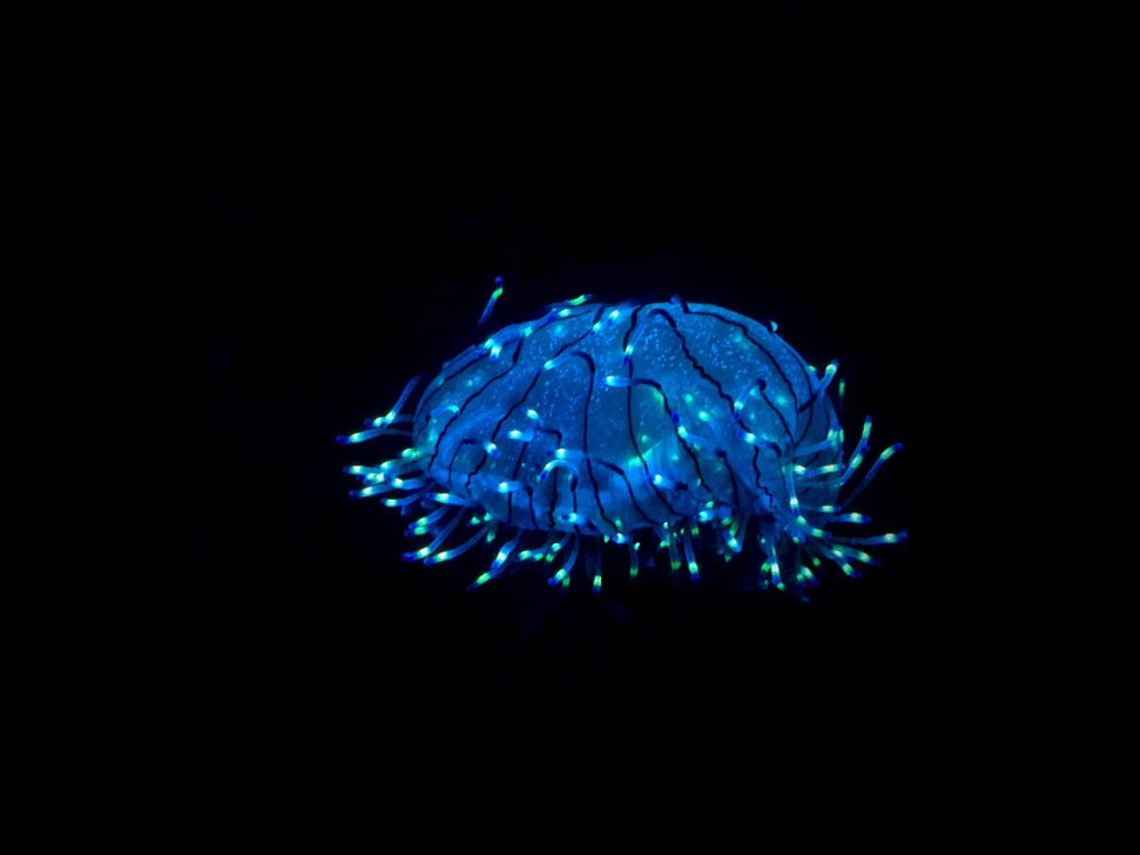 glowing nanoparticles