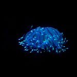 glowing nanoparticles