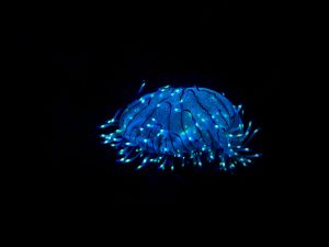 glowing nanoparticles