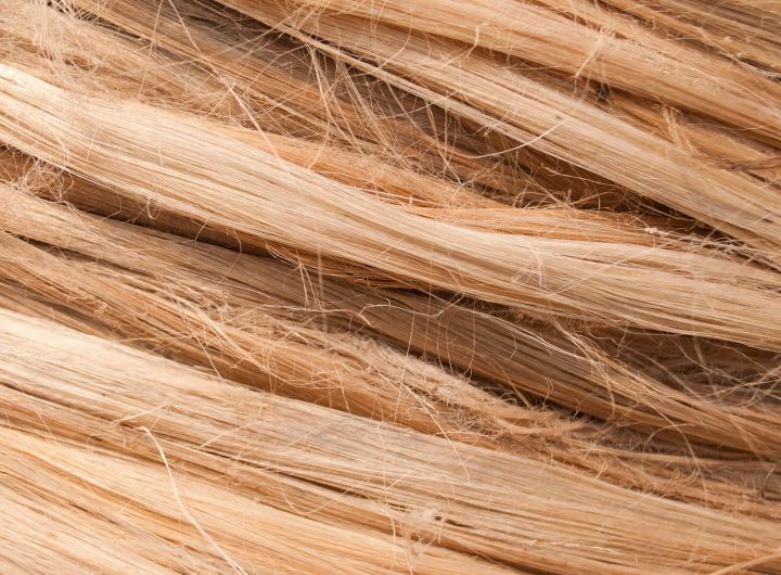 India’s Fibre Demand
