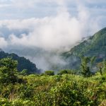 Trump Taiwan retreat