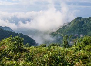 Trump Taiwan retreat