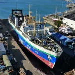 dry docking vessel